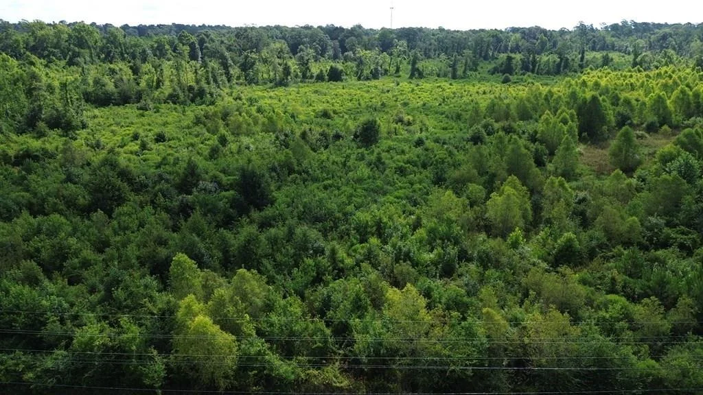 Photo of 1900 E E Hwy 190