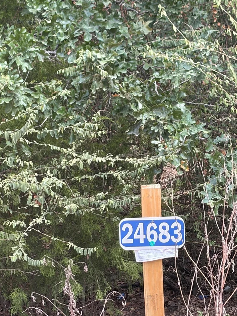 Photo of 24683 Cavan