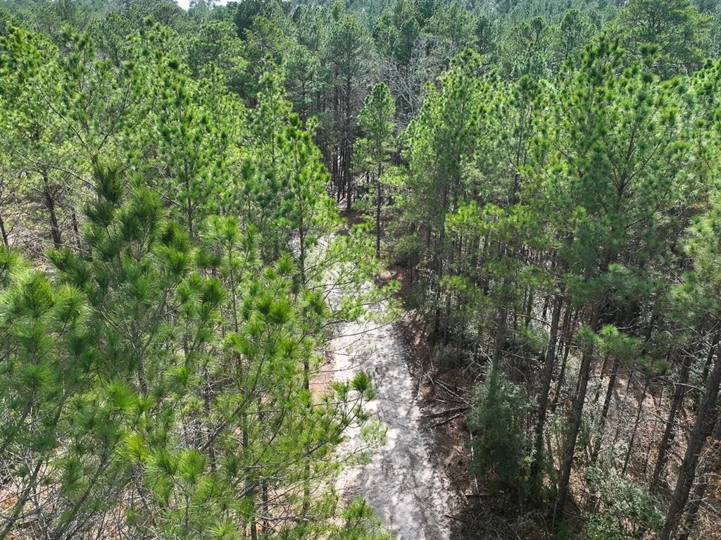 Photo of TBD Off Fm 355