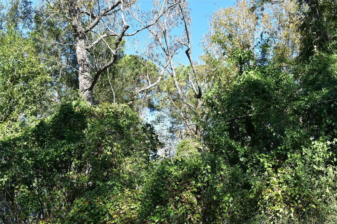 Photo of 3415 Evergreen Drive