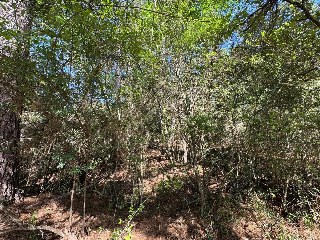 Photo of 15 Wood Harbor