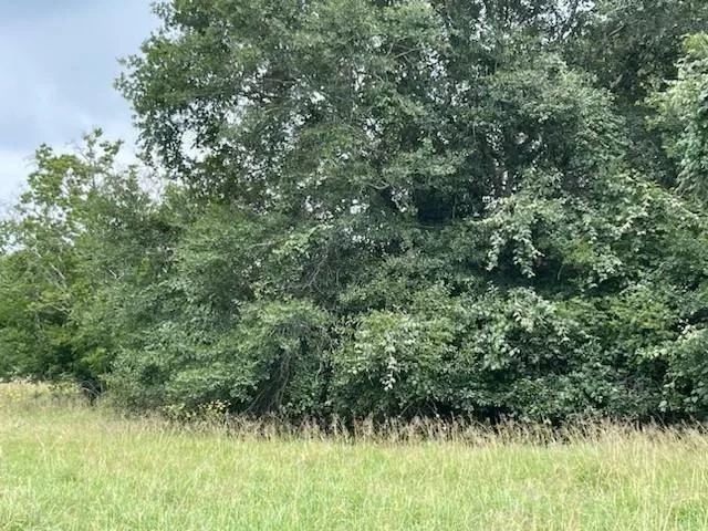 Photo of 280 County Road 470