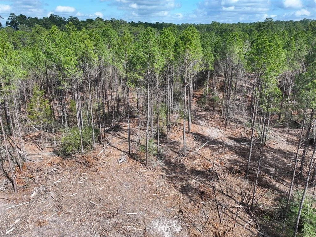 Photo of TBD Off Fm 355