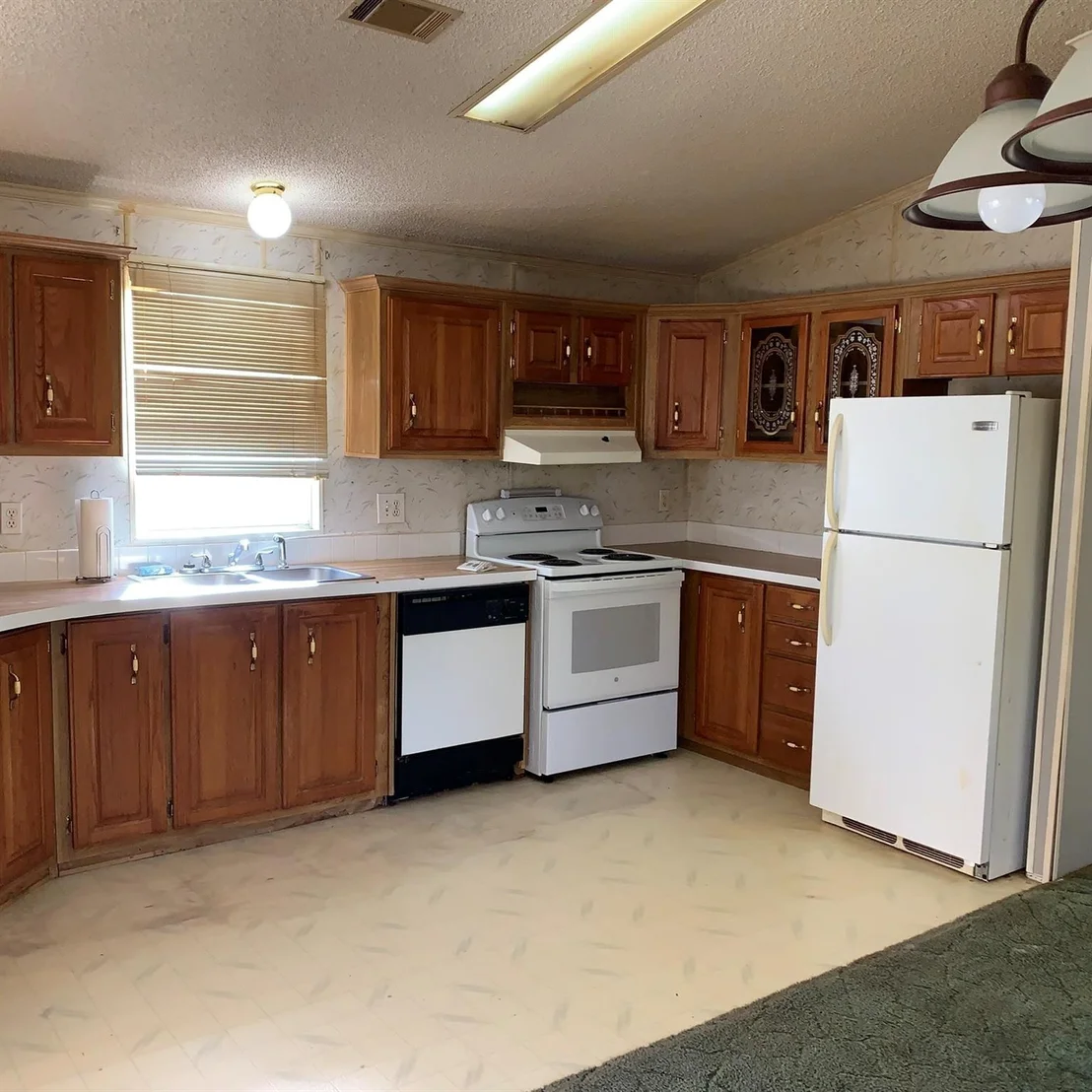 Photo of 202 Armadillo T