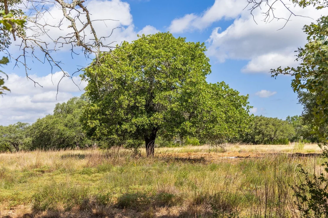Photo of 5385 Ranch Road 165