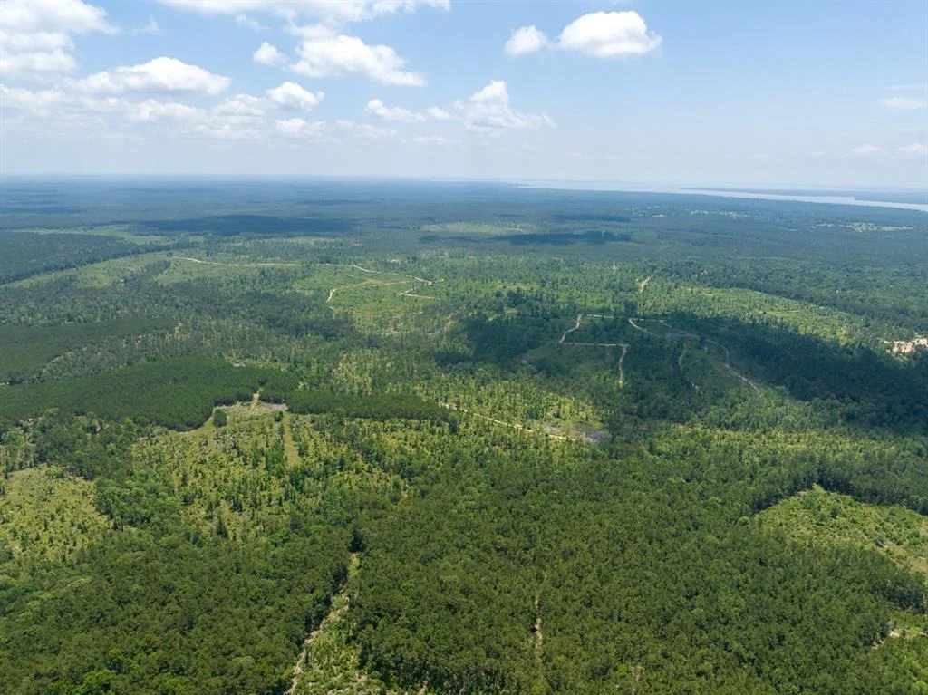 Photo of TBD Fm 355