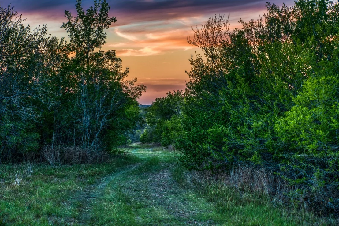 Photo of 687 County Road 340