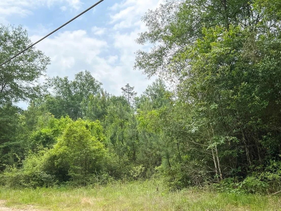 Photo of 013 Old Arco Rd