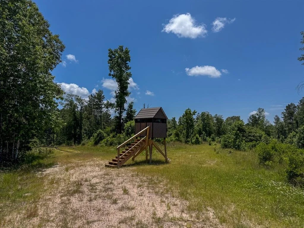 Photo of TBD Fm 355