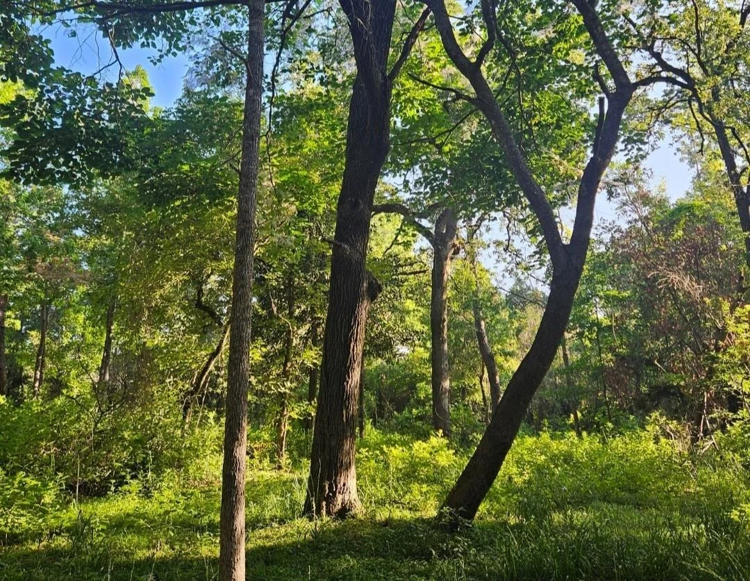 Photo of 16196 Cedar Lane Loop