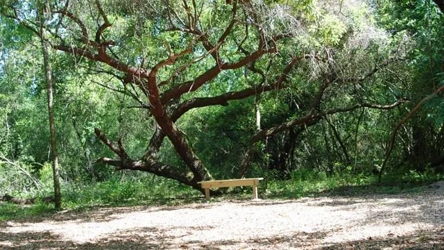 Photo of 24339 Stargazer Point