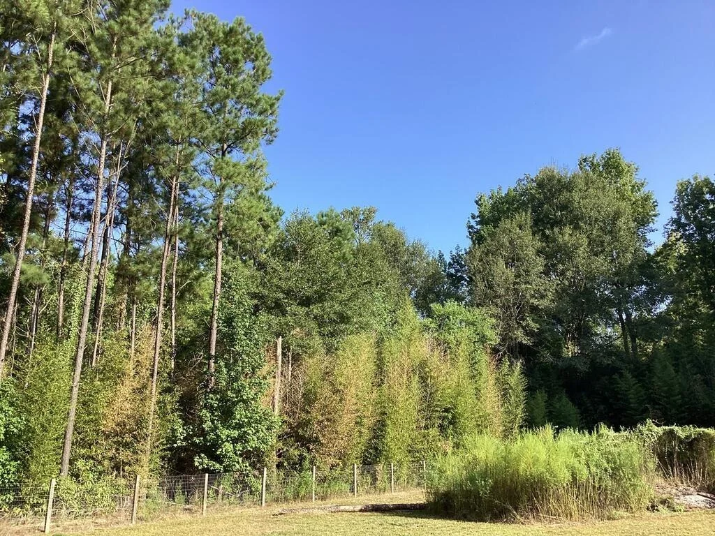 Photo of 1125 County Road 3075