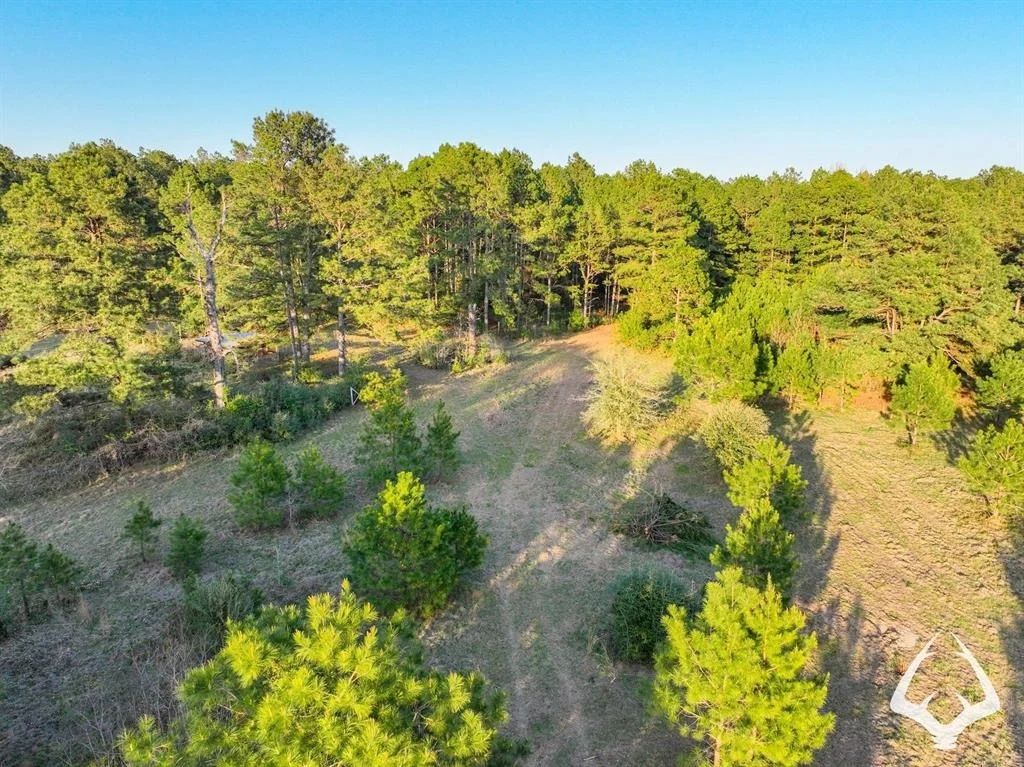 Photo of 850 County Road 4390