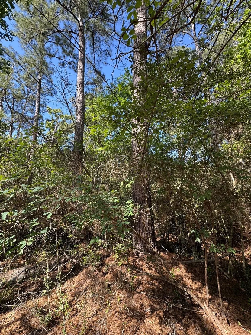 Photo of 15 Wood Harbor