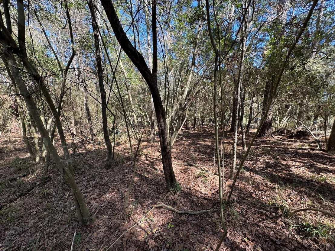 Photo of LOT 106 Whisperwood Drive