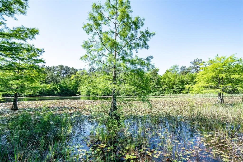 Photo of 1331-A Mccaleb Road