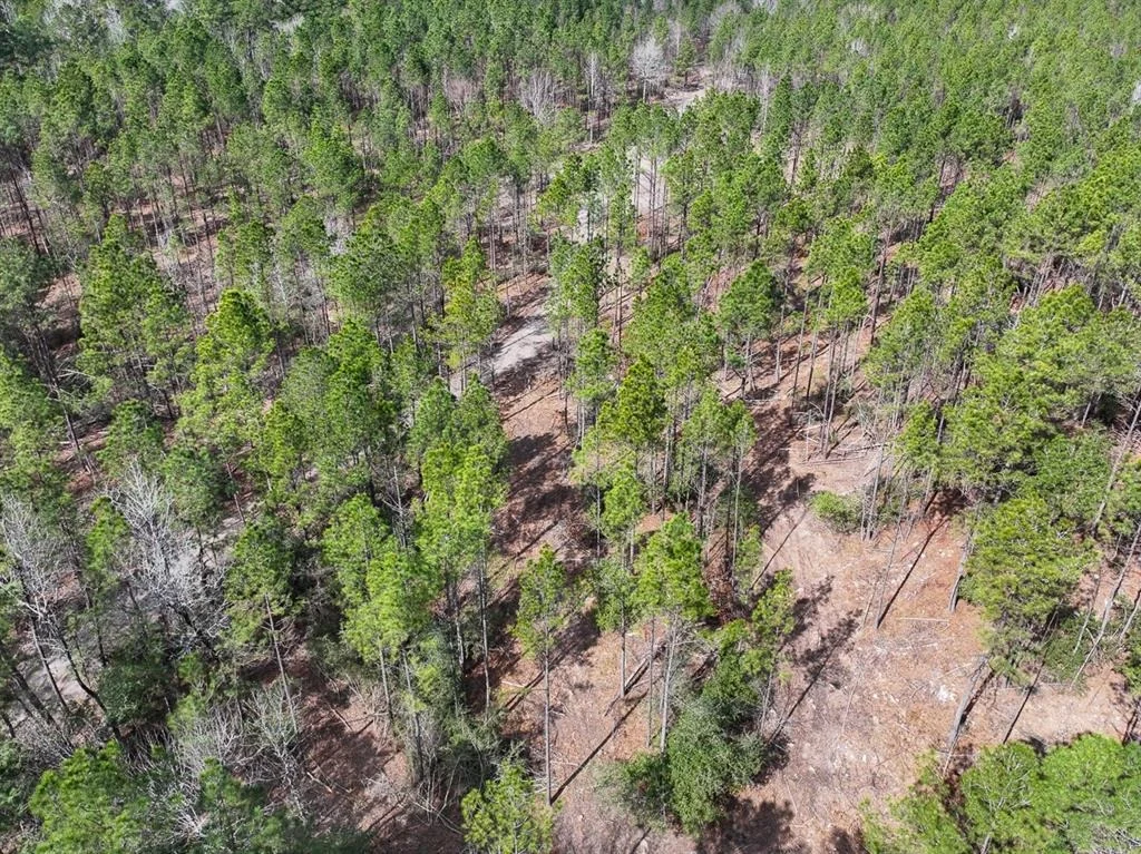 Photo of TBD Off Fm 355