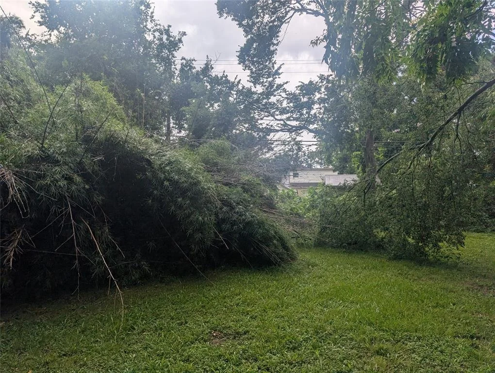 Photo of 8343 Bonner