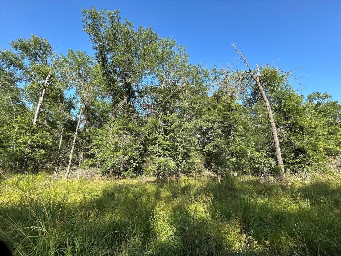 Photo of Tract 35 Fm 230