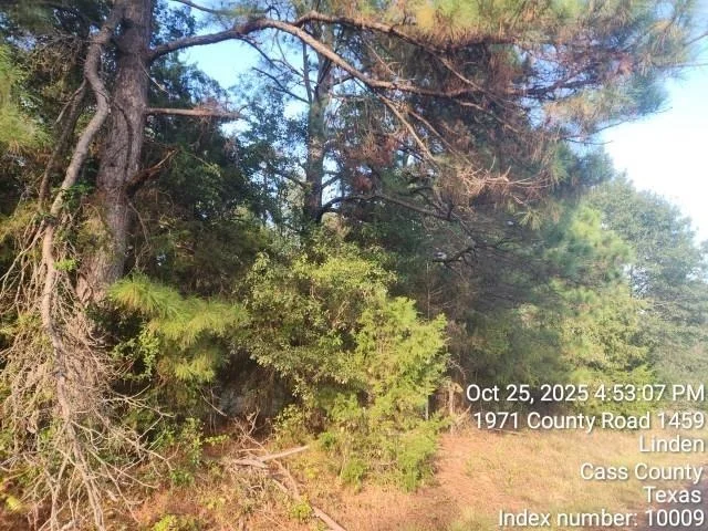 Photo of 938 County Road 1244 Road