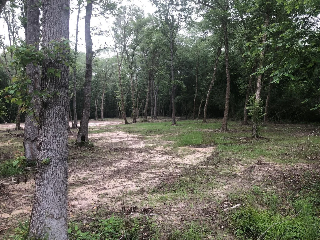 Photo of 1841 Pr 1315