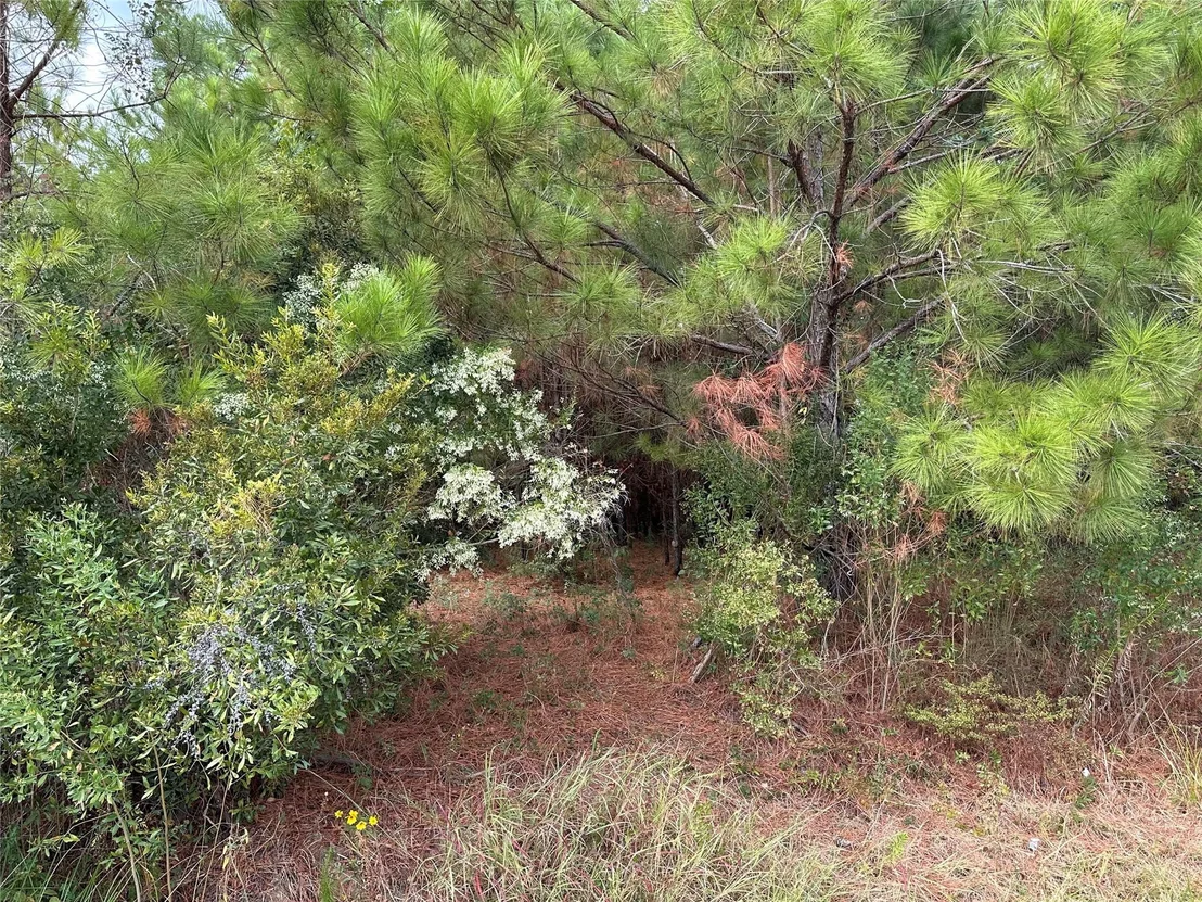 Photo of 3116 County Road 3479b