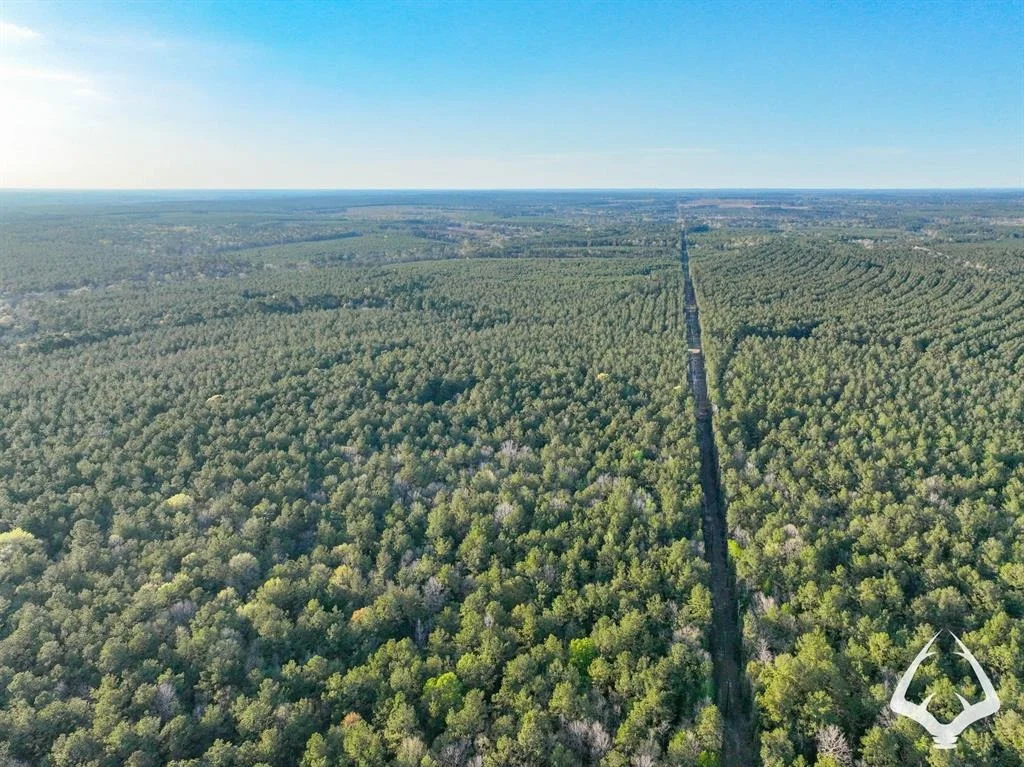 Photo of 850 County Road 4390