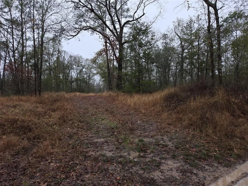 Photo of 4572 County Road 3610