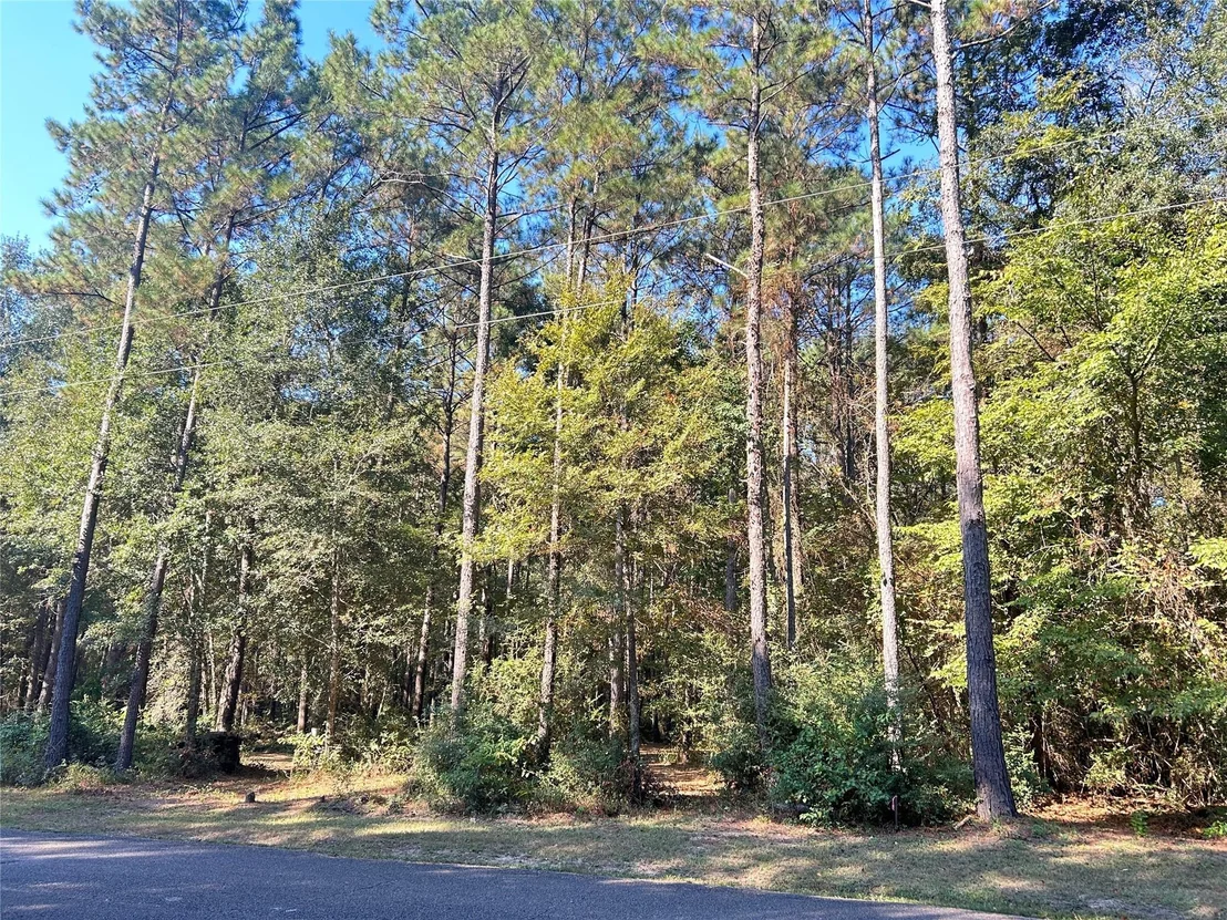 Photo of 24445 Pipestem Drive
