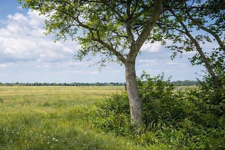 Photo of 10318 County Road 67