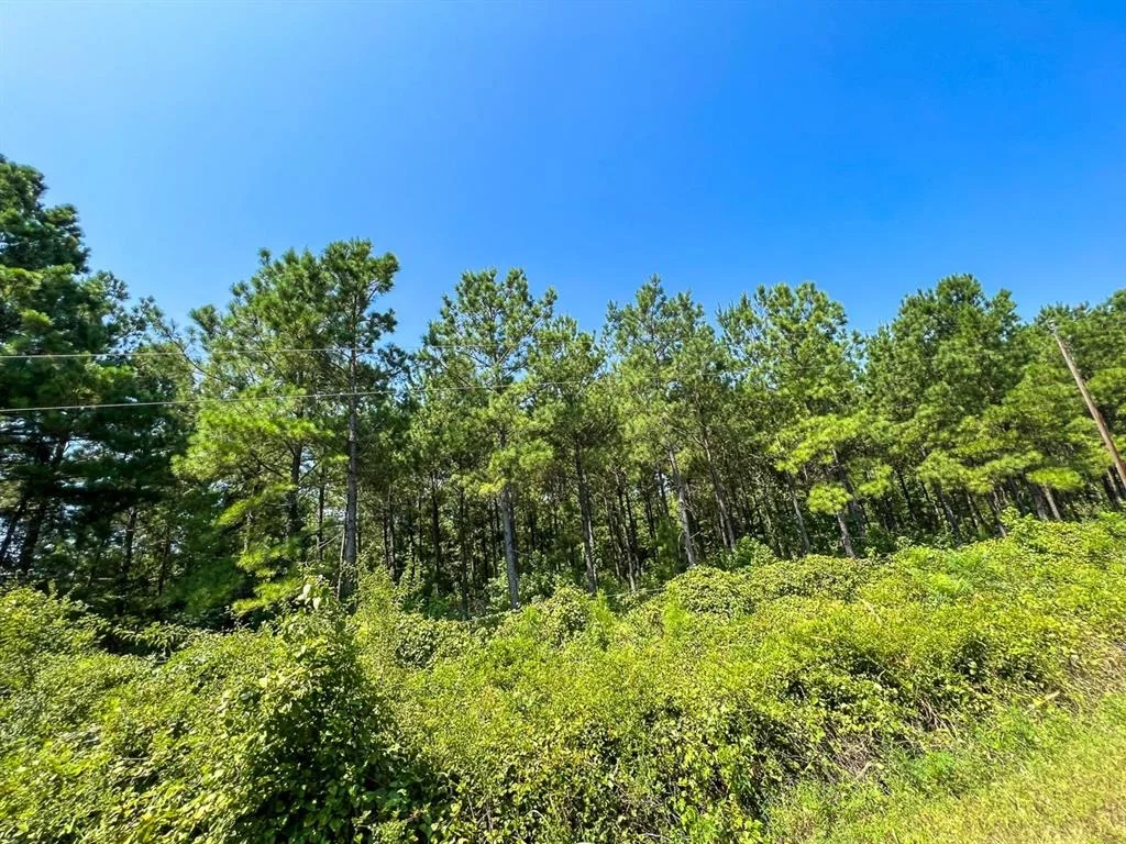Photo of 05 Highway 49