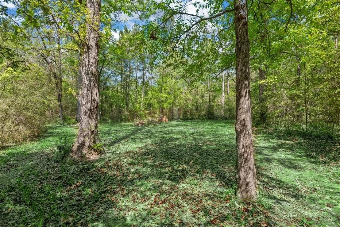 Photo of 10267 Pineridge Drive