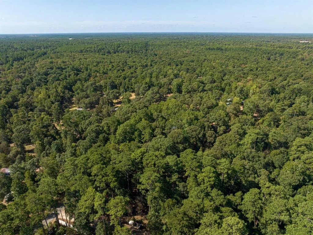 Photo of 11451 White Road