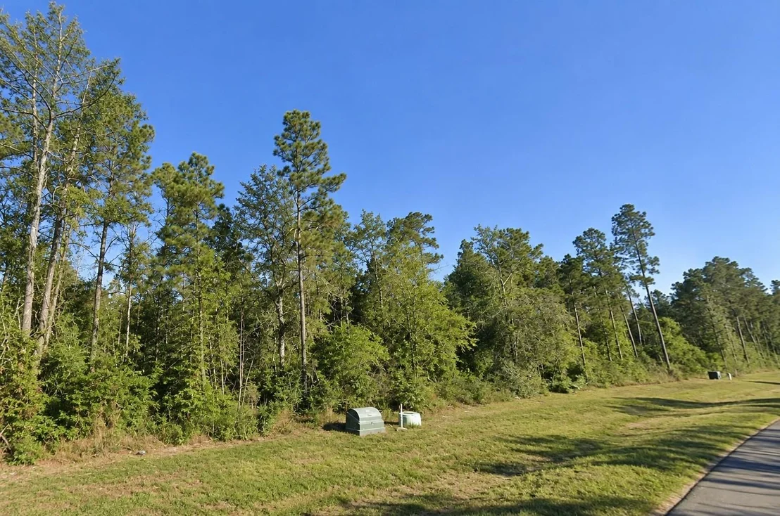 Photo of 11756 Grand North Road