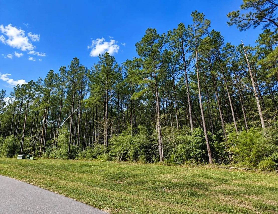 Photo of 15321 Forest Grove Drive