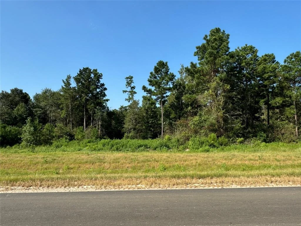 Photo of 11682 Grand North Road