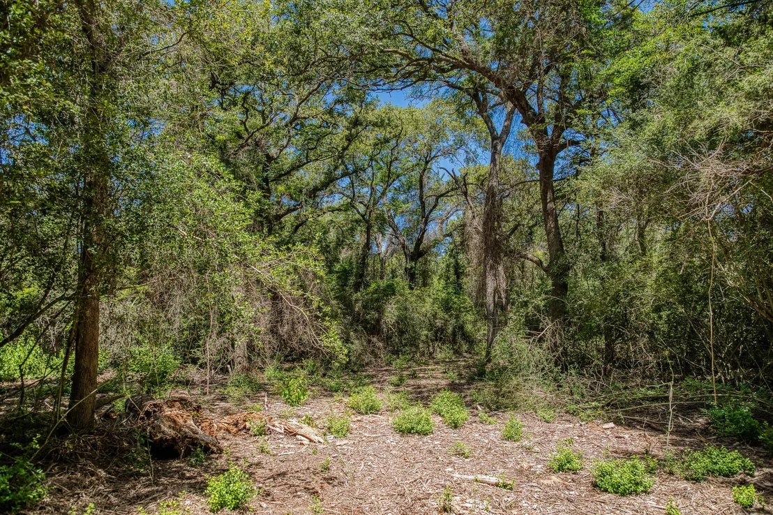 Photo of 1972 County Road 324