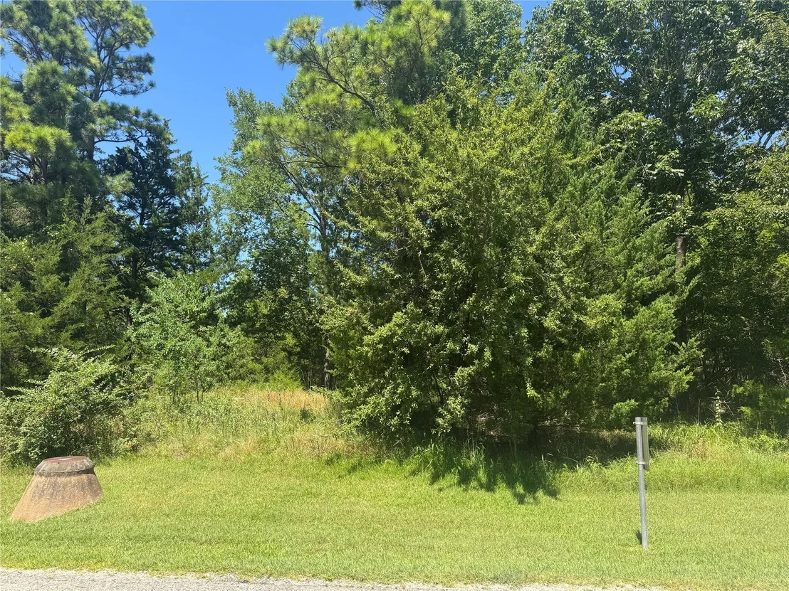Photo of TBD N Forest Cove Loop