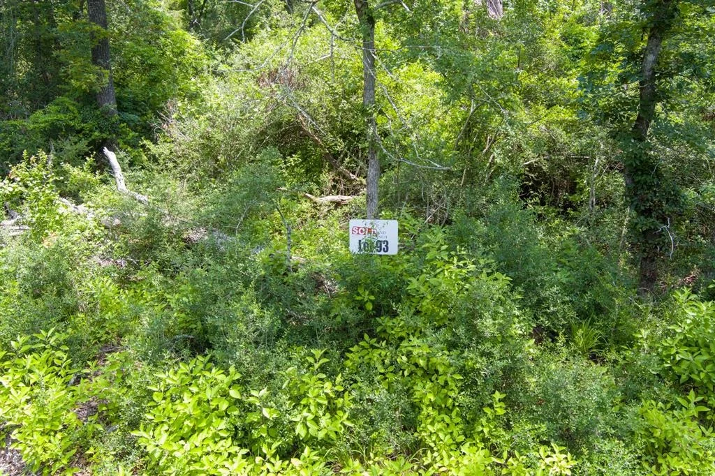 Photo of 6837 Private Road 1280