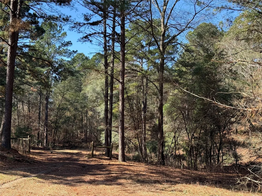Photo of 3984 County Road 3100