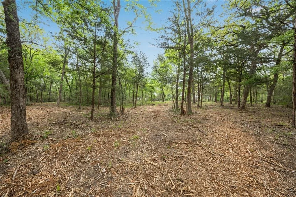 Photo of 4499 Old Navasota Rd