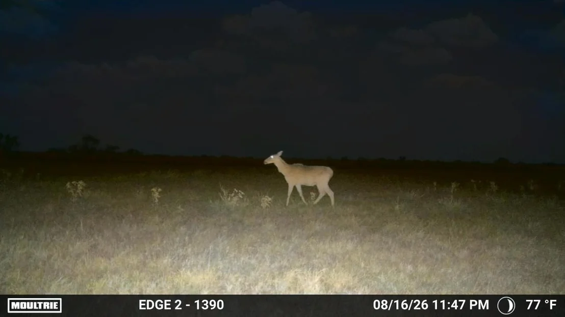 Photo of 000 S Hwy 281