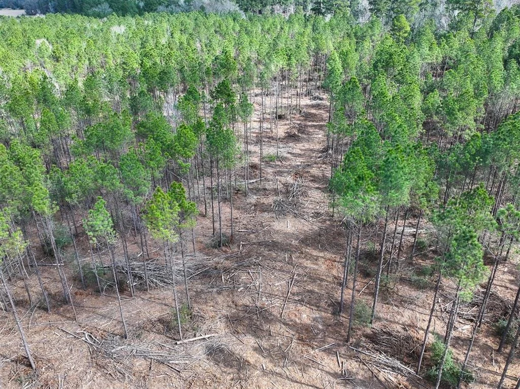 Photo of TBD Off Fm 355