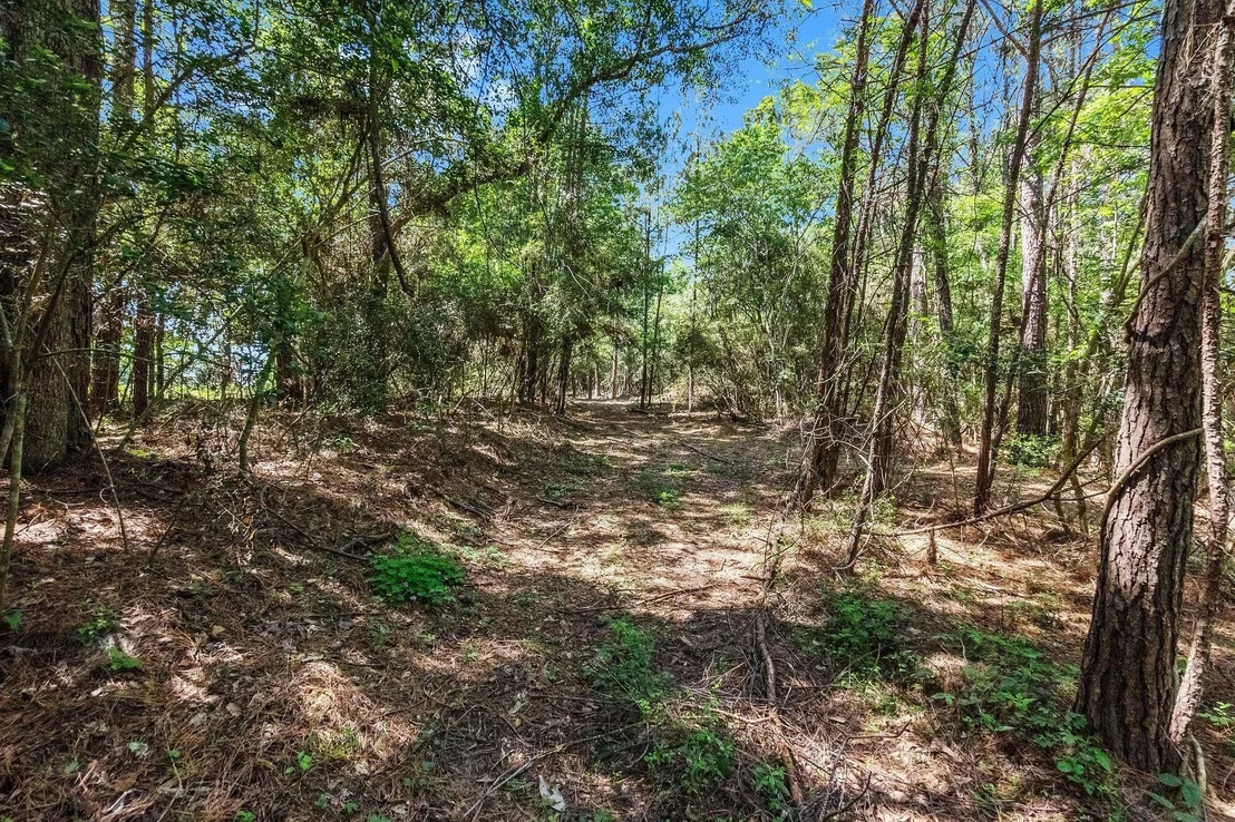 Photo of 55 Paradise Drive