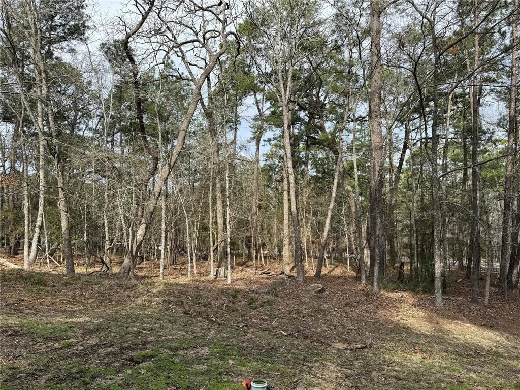 Photo of 91 S Fairway Loop