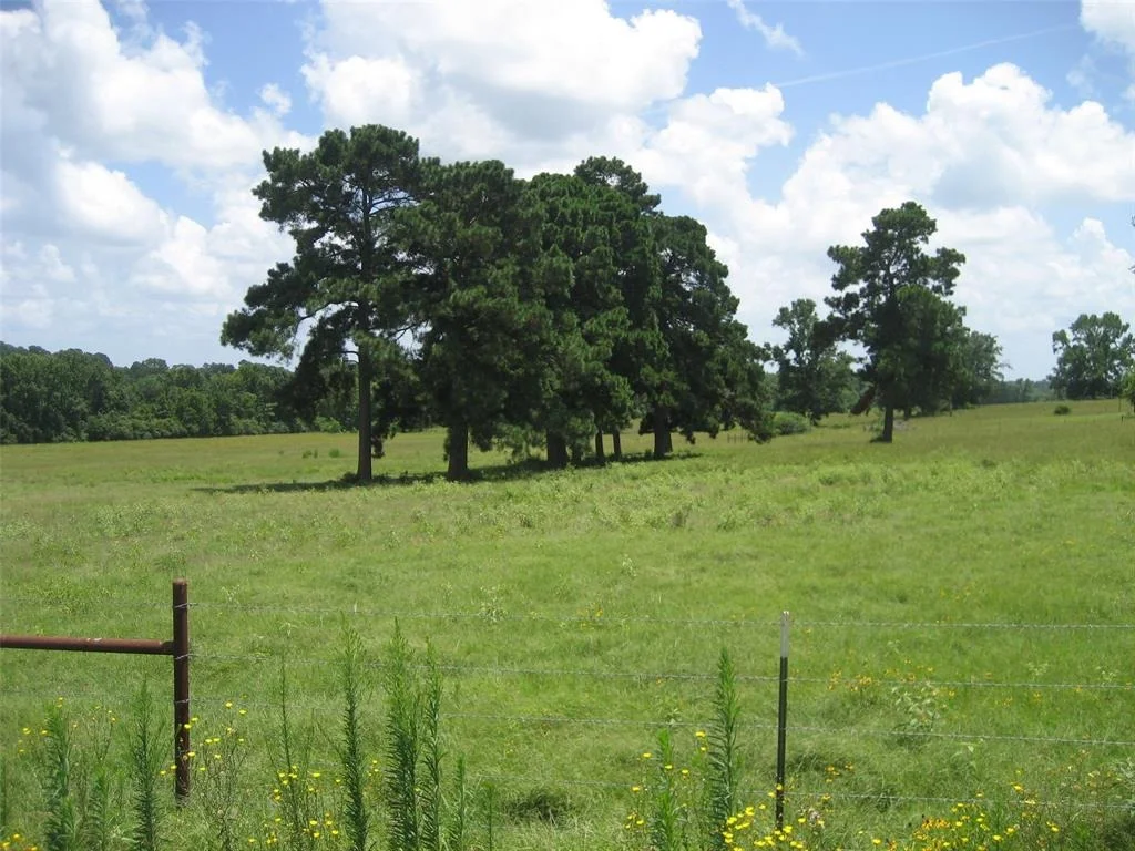 Photo of 00 Cr 2120
