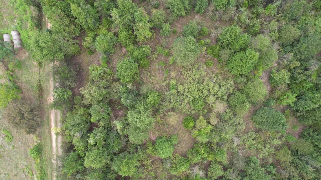 Photo of 770 County Rd 1675