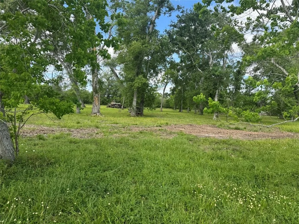 Photo of 17114 Hamill Drive