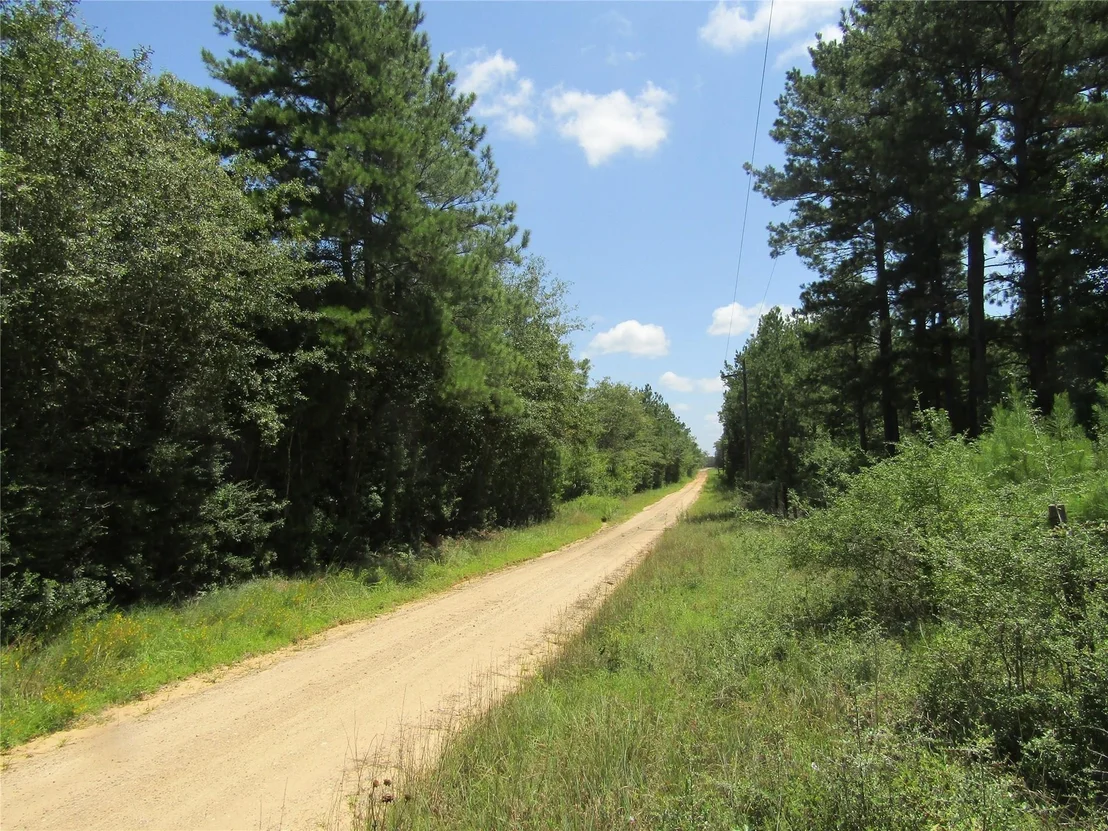 Photo of 560 County Road 4502