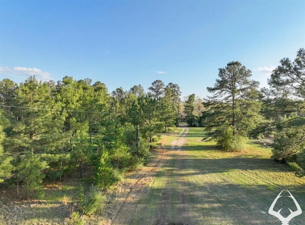 Photo of 850 County Road 4390